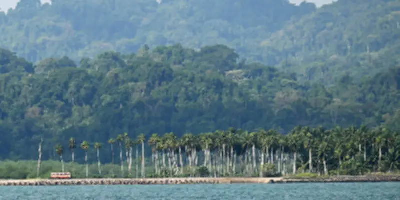 Grande Nicobar, sanctuaire de biodiversité, menacé par un projet de développement