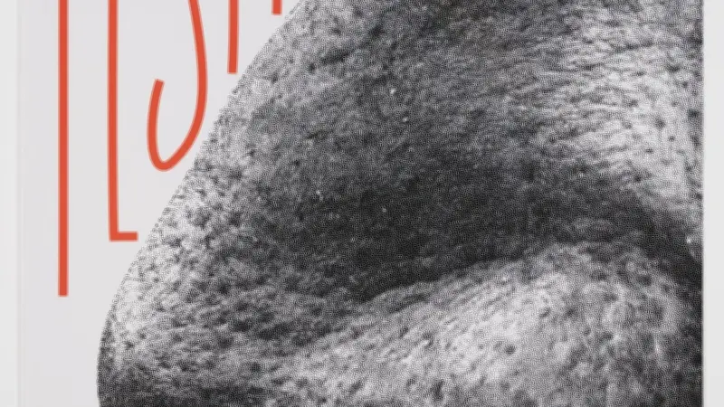 GraphiMS 2026 : Le corps s'expose à travers le graphisme à Montpellier