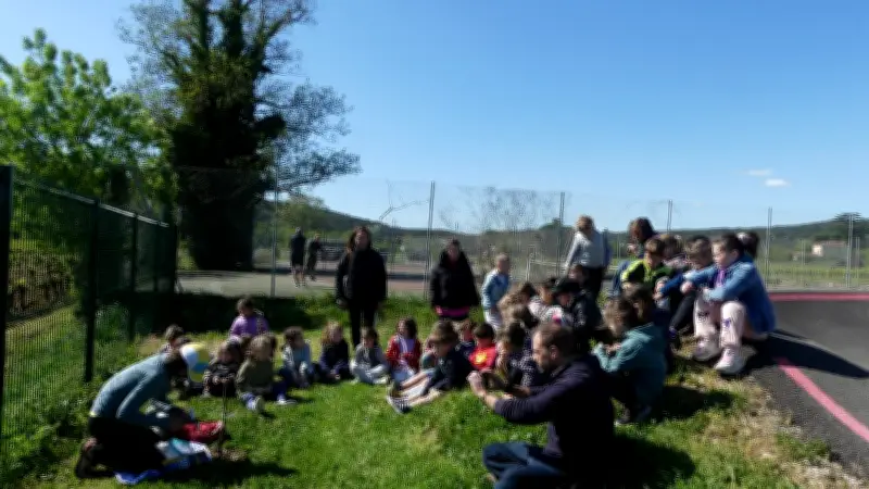 Greffes pédagogiques au parc de loisirs avec la Transfruitière