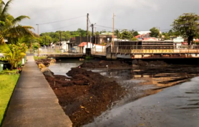 Guadeloupe : soixante personnes secourues après une soudaine montée des eaux