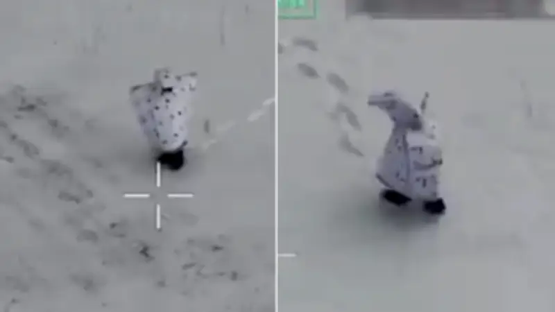 Guerre en Ukraine : des soldats russes déguisés en pingouins pour traverser le front