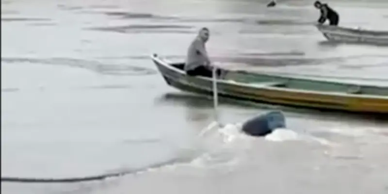 Guyane : à Camopi, les habitants luttent eux-mêmes contre l'orpaillage illégal