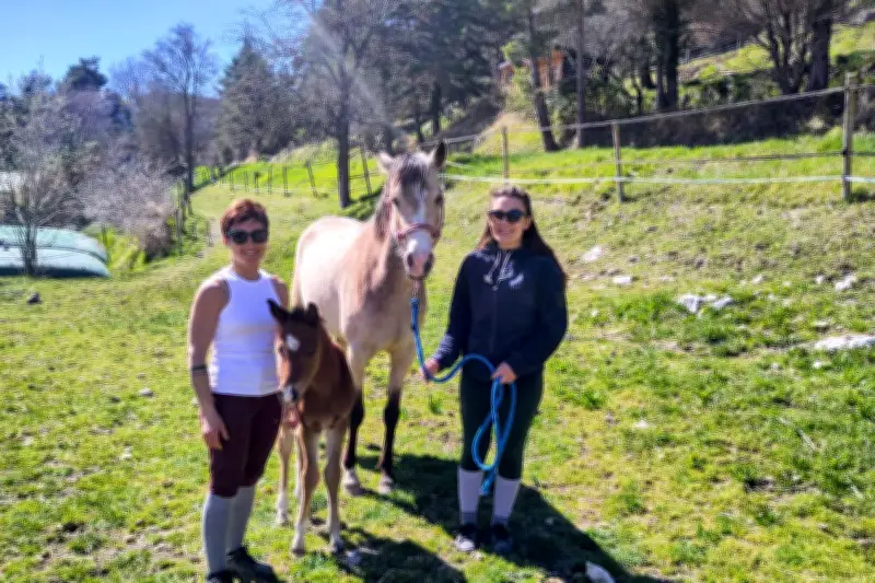 Haras des Prairies d'Azur : Tamara et Coralie misent sur le bien-être équin