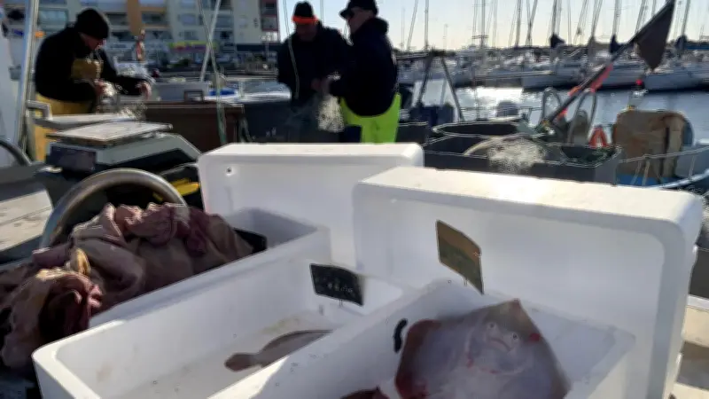 Hausse des carburants : les pêcheurs d'Agde résistent malgré la crise