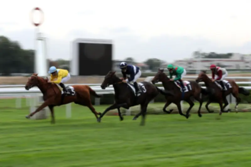 Hippodrome de Bouscat : deux journées festives pour les vacances de printemps