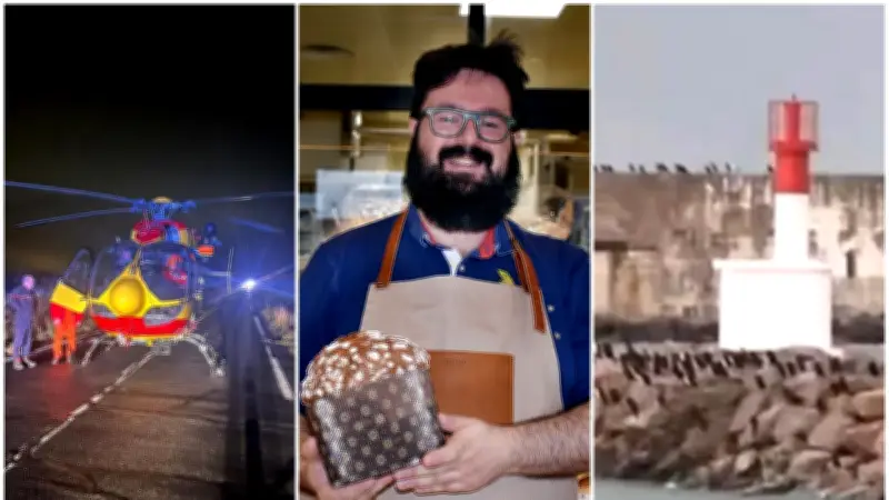 Hélitreuillage, panettone et cormorans : l'actu du 24 décembre 2025