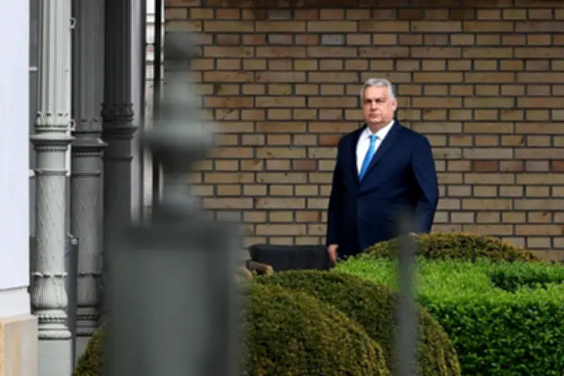 Hongrie : les leçons de la défaite d'Orbán pour l'Europe face à l'extrême droite