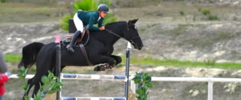 Horse Ball : finales d'Occitanie ce week-end à Poussan