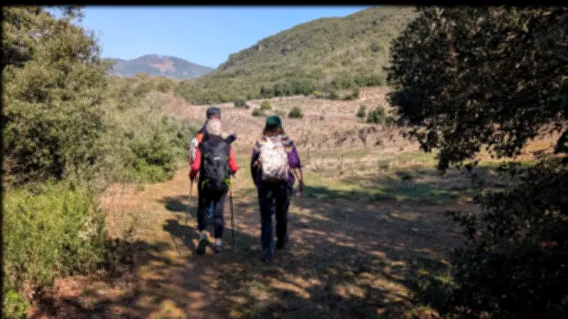 Hérault : une randonnée gourmande mêlant vin, truffes et patrimoine