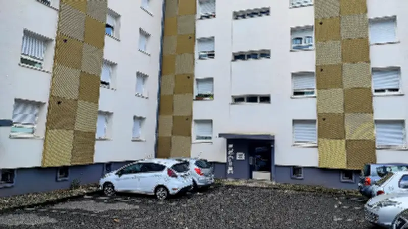 Hérault : une résidence envahie par les puces, les locataires exaspérés
