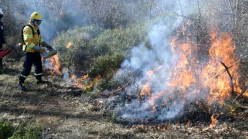 Hérault : viticulteurs sensibilisés aux risques d'incendie des écobuages