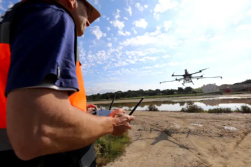 Hyères : campagne anti-moustique avancée d'un mois après des pluies records
