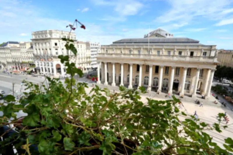 IFI en Gironde : hausse de 8% du nombre de redevables en 2025