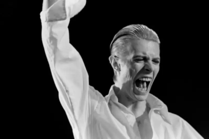 Il y a 50 ans : Natacha, la septuagénaire fan de David Bowie