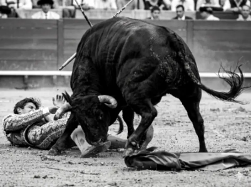Il y a 60 ans, El Cordobes triomphait et était blessé à Las Ventas