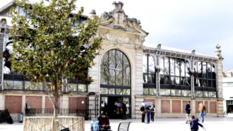 Immobilier à Narbonne : le centre historique, un pari d'avenir