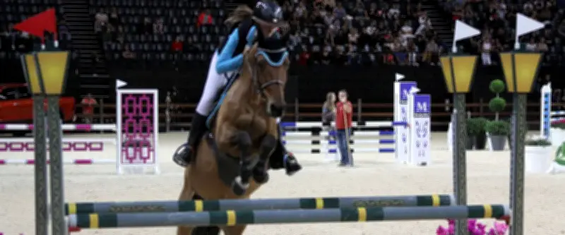 IMT Mines Alès lance quatre startups innovantes en incubation : équitation connectée, retail et sport