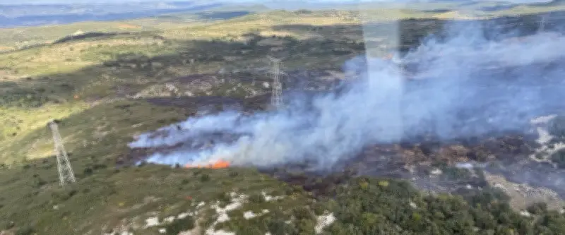 Incendie à Aumelas : 80 hectares de garrigue brûlés, vent violent