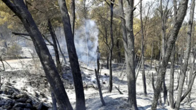 Incendie dans l'Aude : 300 rescapés hébergés à Lézignan, l'attente et l'incertitude