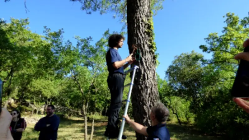 Incendie dans l'Aude : des capteurs satellites pour anticiper les départs de feu