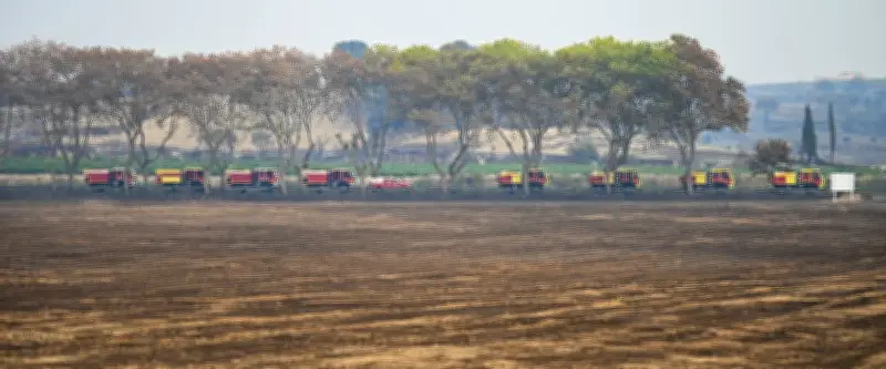 Incendie dans l'Aude : la disparition des vignes aggrave la propagation des flammes