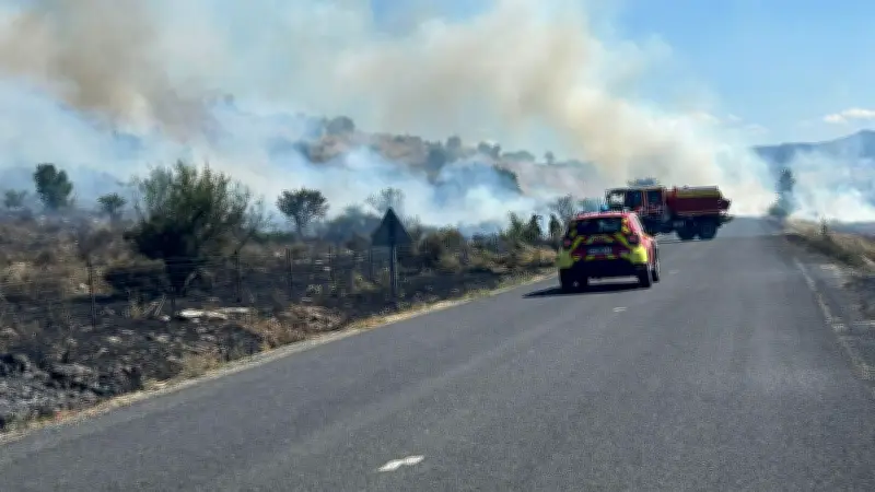 Incendie dans le Gard : 150 hectares brûlés, 140 pompiers mobilisés