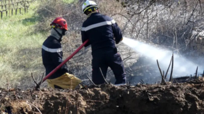 Incendie dans le Gard : 6 000 m² de vigne en friche ravagés près de Saint-Gervais