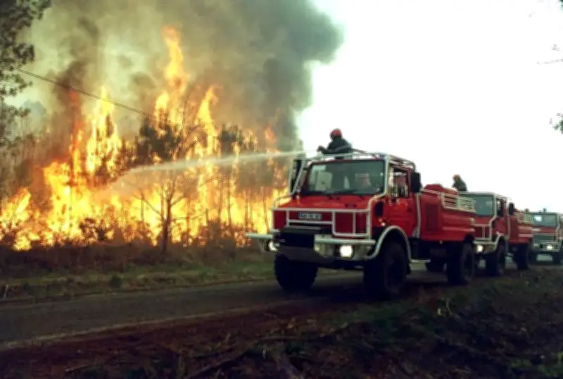 Incendie de Moustey en 2003 : 600 hectares de pins ravagés par un feu de tracteur forestier