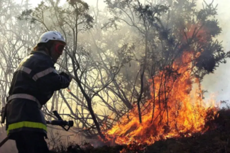 Incendie de voiture GPL sur l'A50 près de Toulon, 200 m² de végétation brûlés