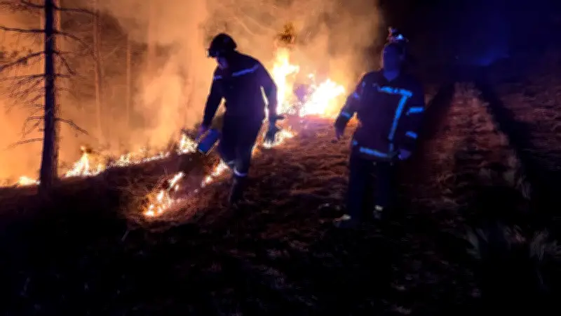 Incendie en Lozère : 100 hectares détruits, les pompiers maîtrisent le feu après 7 heures de lutte