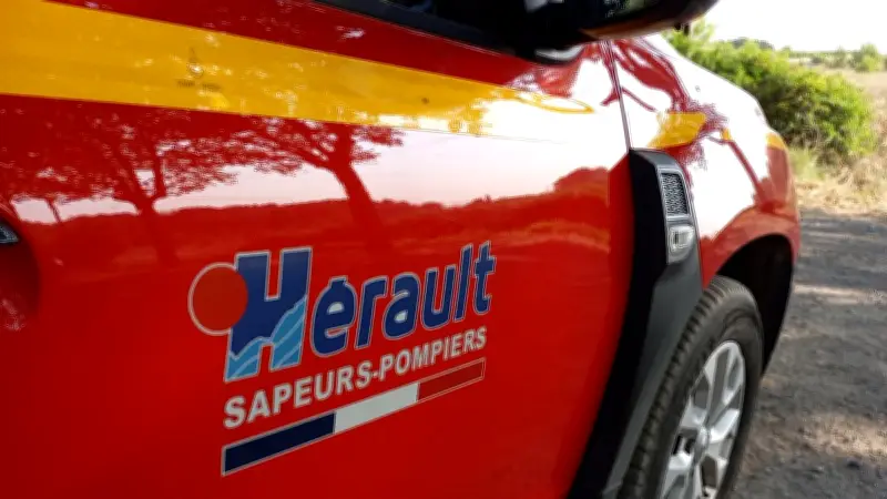 Incendie à Marseillan : cinq camions de pompiers mobilisés près d'un élevage de chevaux