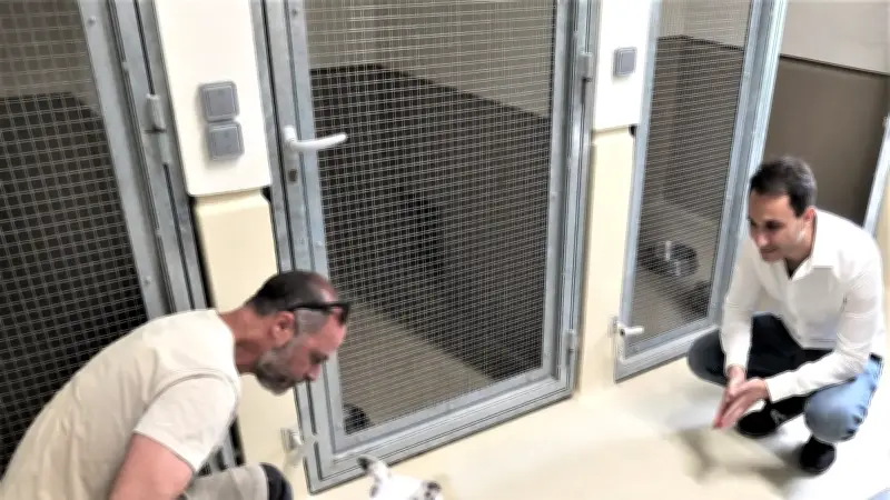 Incendie à Mireval : la SPA évacue ses chiens au zoo de Montpellier