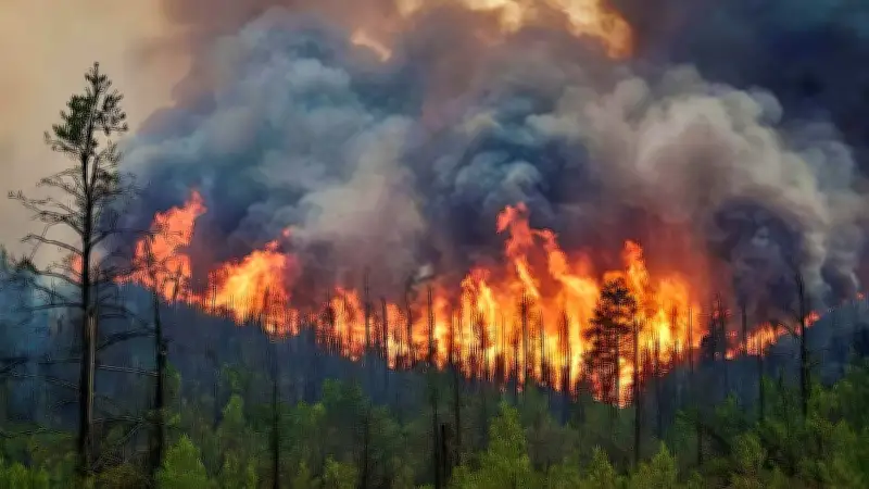 Incendies en Europe : plus d'un million d'hectares brûlés en 2025