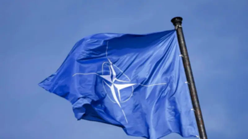 Incursions russes : l'Otan active l'article 4, explications