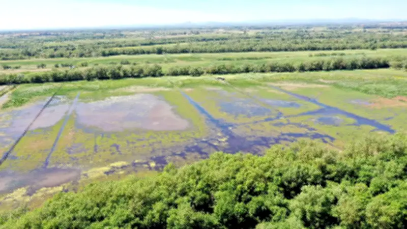 Innovations économiques dans le Gard : entreprises engagées pour un développement durable