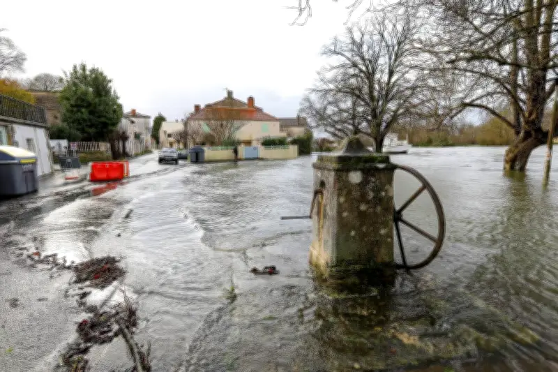 Inondations en Charente-Maritime : un paradoxe bénéfique pour la biodiversité aquatique