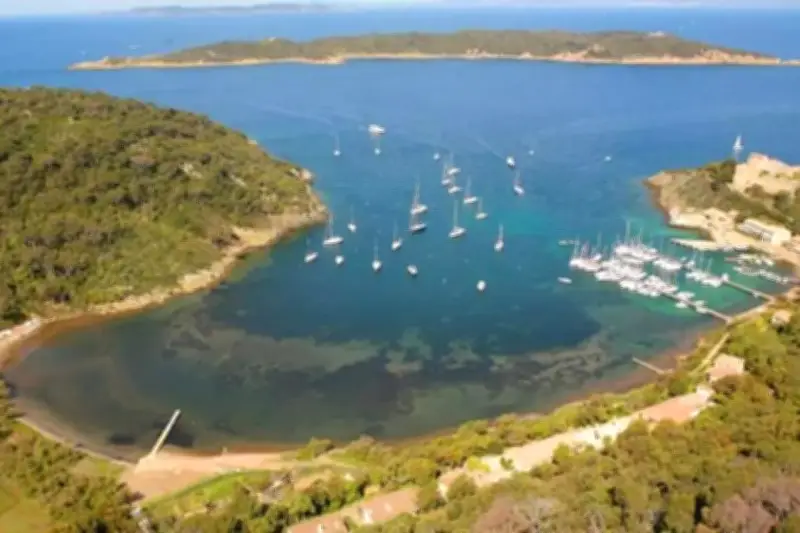 Interdiction de navigation près de Port-Cros et Porquerolles pour protéger les cormorans