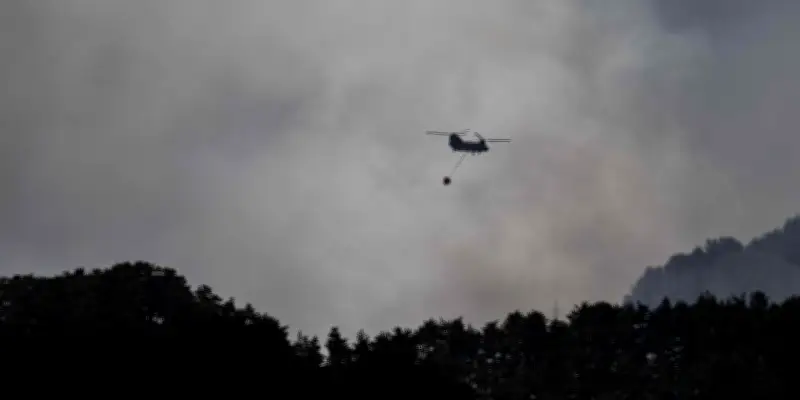 Japon : incendies de forêts dans le nord, 3 200 personnes évacuées