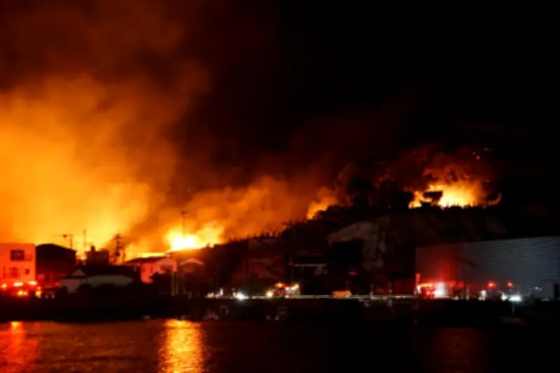 Japon : évacuation de 3 200 personnes face aux incendies dans l'Iwate