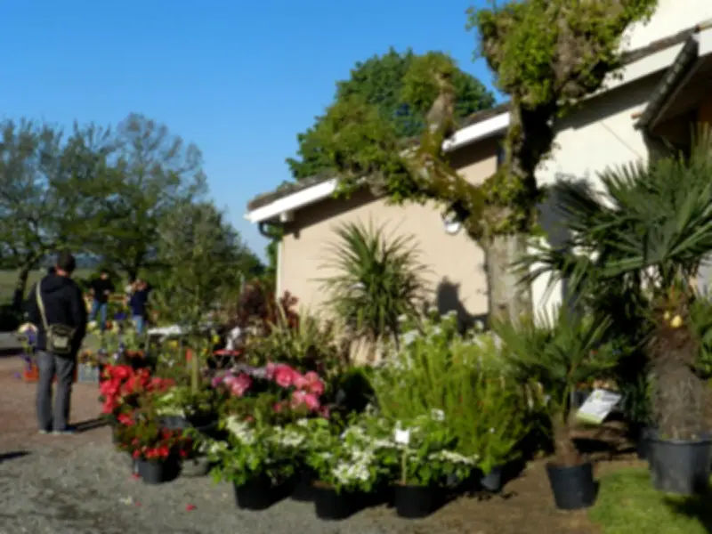 Jardin Passion 2026 : Le rendez-vous printanier du jardinage en Entre-deux-Mers