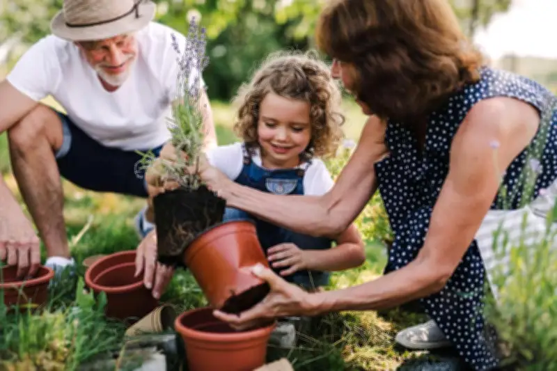 Jardinage : une activité physique aux multiples bienfaits pour la santé