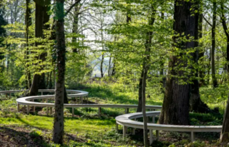 Jardins de la paix des Hauts-de-France primés par Europa Nostra