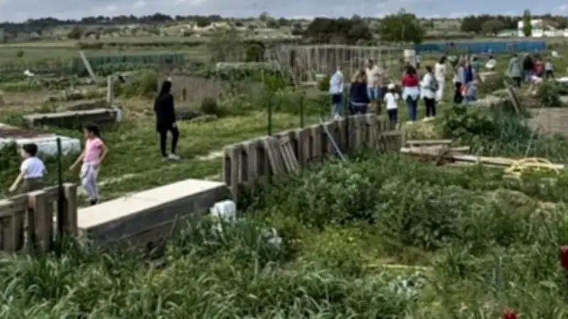 Jardins solidaires à Lespignan : cultiver et apprendre au fil des saisons
