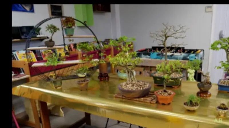 Journée conviviale et végétale à la bibliothèque de Meilhan le 2 mai