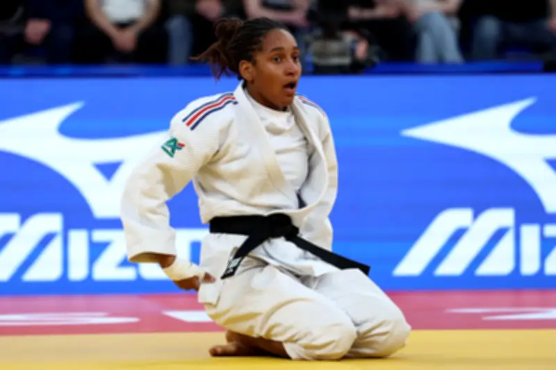 Judo : deux nouvelles médailles pour la France aux Championnats d'Europe à Tbilissi