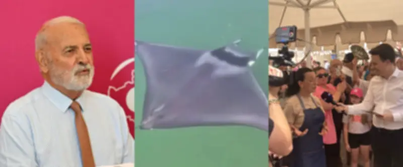 Juin 2025 : raie manta, Halles de Béziers, départ de Kléber Mesquida du PS