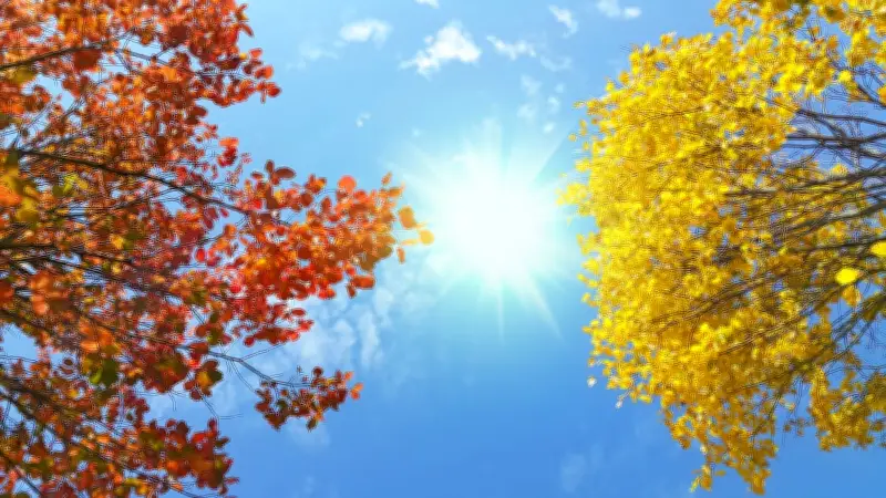 Jusqu'à 30°C en Occitanie : une vague de chaleur précoce s'installe en région