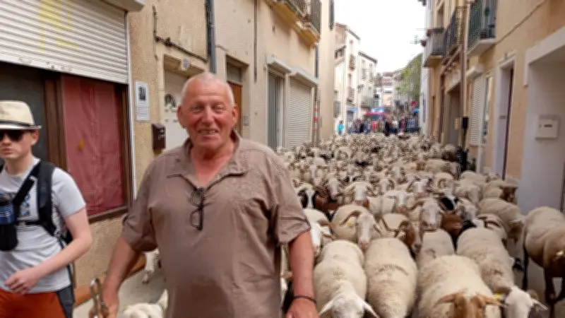 La 11e transhumance Villeveyrac-Mèze attire plus de 600 marcheurs derrière le troupeau