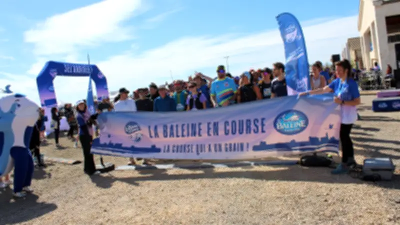 La Baleine en course : 2100 coureurs dans les Salins d'Aigues-Mortes