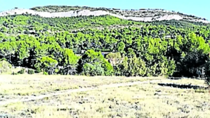 La Bambée Bauzilloise : un nouveau trail au cœur de la garrigue héraultaise